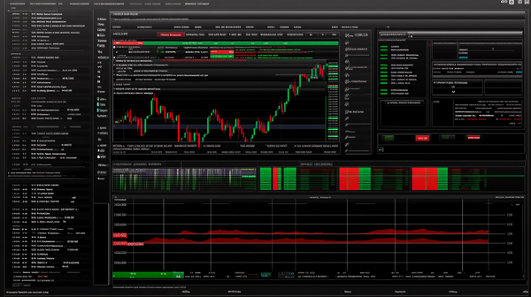 AltınKapital: La Verità Dietro il Sistema - È Affidabile?